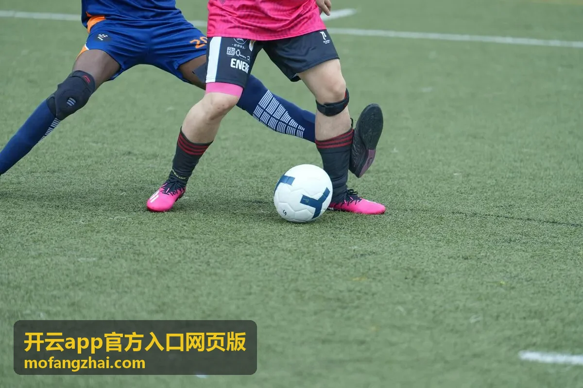 开云app官方入口网页版首屏展示图