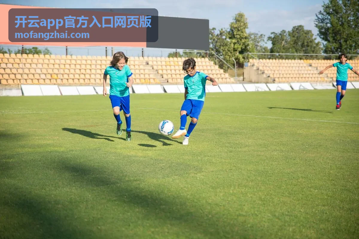 开云app官方入口网页版玩法指南教程