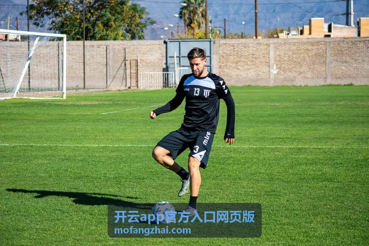 开云app官方入口网页版入口指引说明