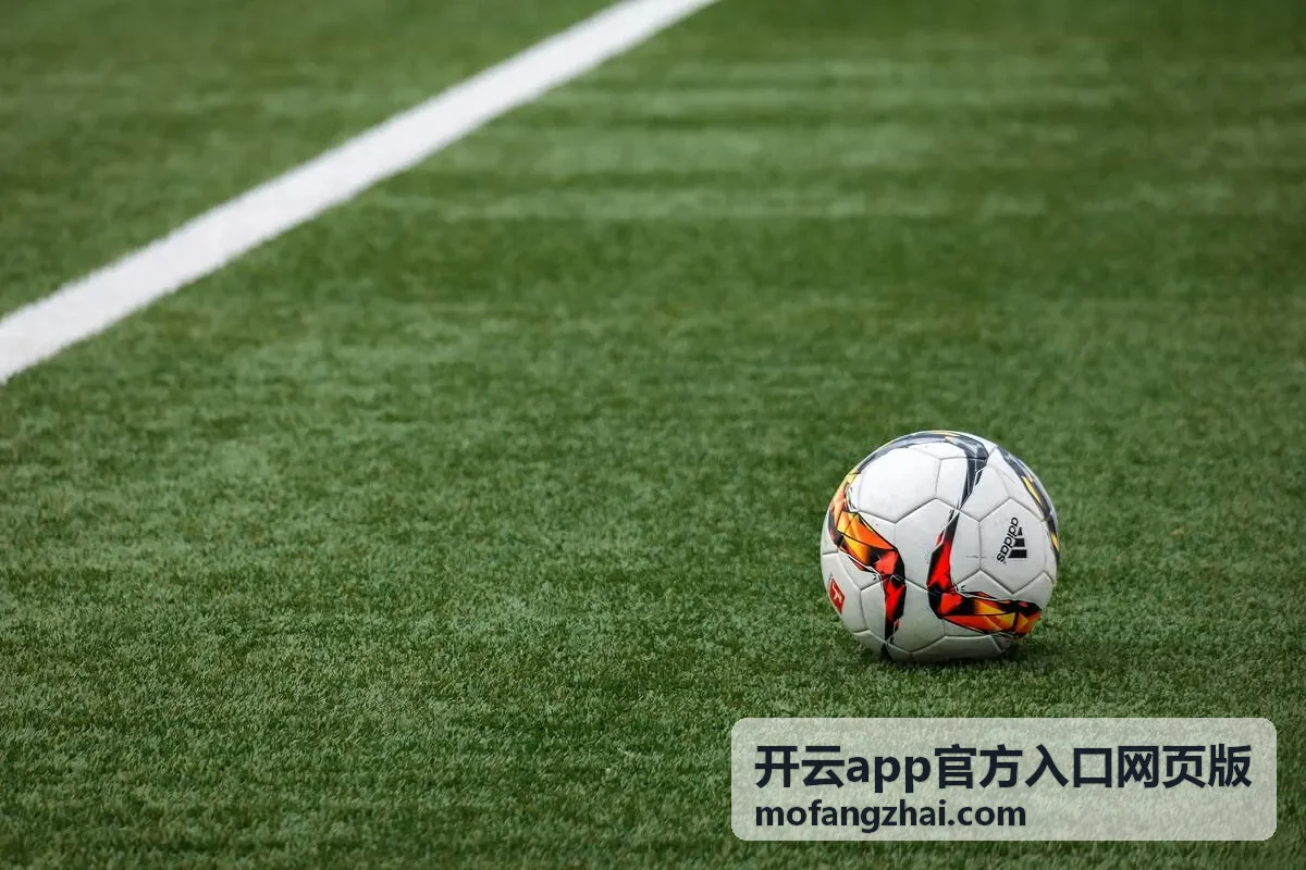 开云app官方入口网页版账号与安全设置配图